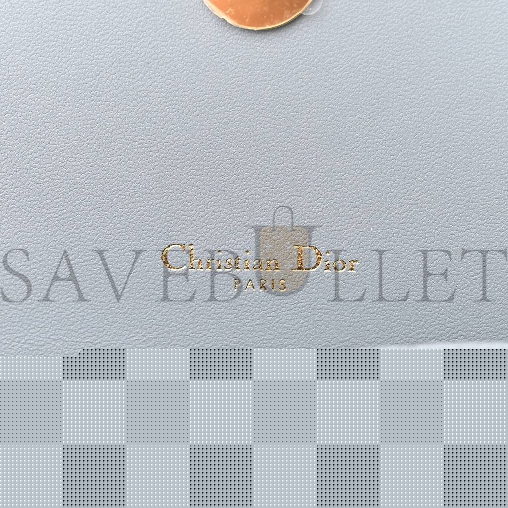 d*or S*pple calfskin caro pouch with chain cloud (20*11*3.2cm)